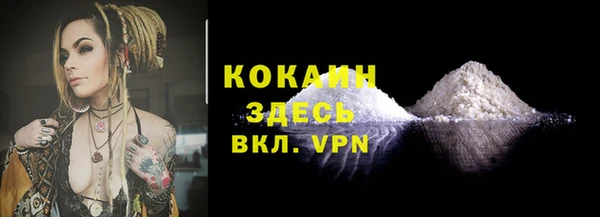 кокс Белокуриха